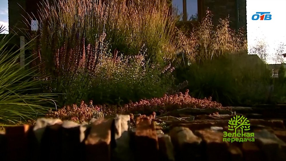 Что такое геопластика?