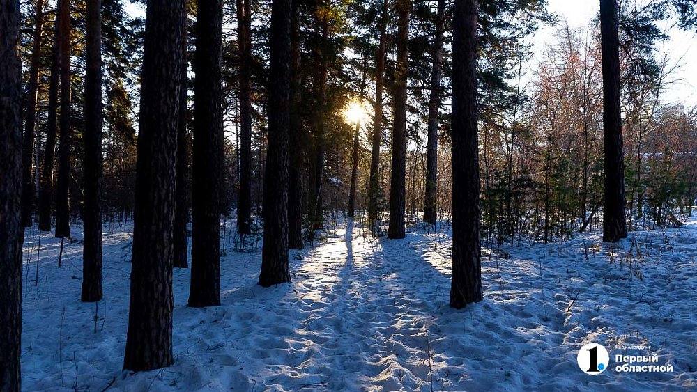 Астрономическая зима наступает в России 21 декабря