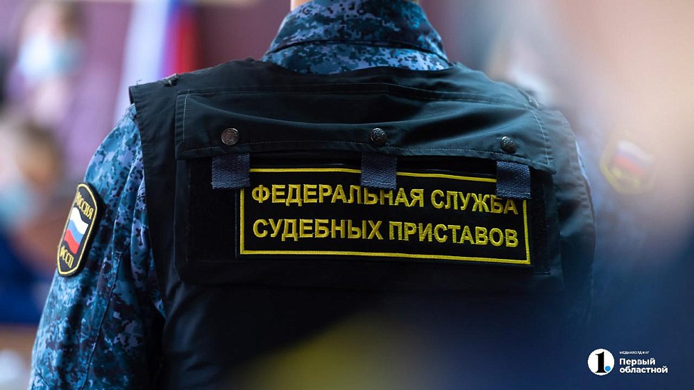Жителям Челябинской области объяснили, как избежать очередей к судебным приставам