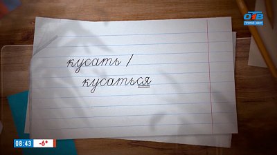 Разбираемся с теми, кто кусается в рубрике «Простые правила»