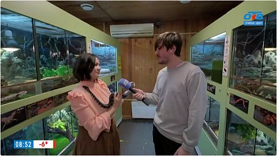 Гладим питона в «Прямом включении»