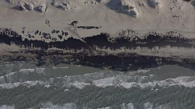 Уроженец Челябинска помогает очищать побережье Краснодарского края