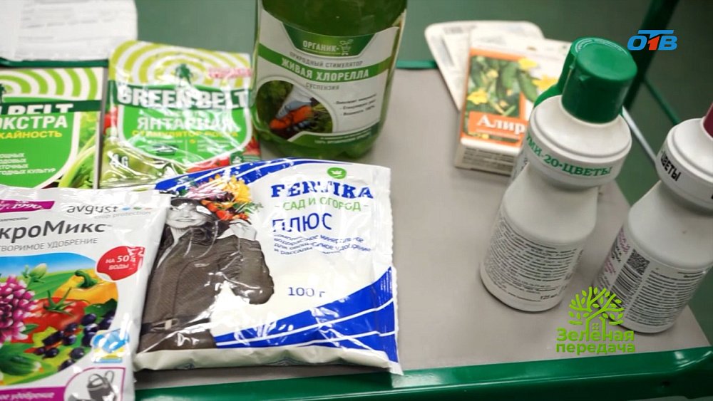 Предпосевная подготовка семян