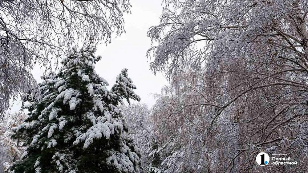 Сюрпризов не ждем? Какой будет погода в первый месяц нового года