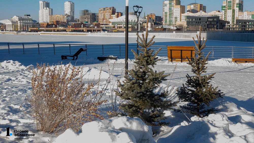 Челябинскую область ждет небольшое похолодание 29 декабря 