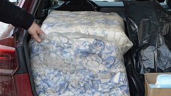 Южноуральское Минэкологии передало хозматериалы волонтерам, которые собирают мазут на Черном море