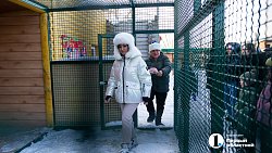 В Челябинске стартовала звериная «елка желаний»