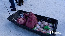 В Челябинске стартовала звериная «елка желаний»