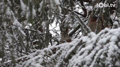На Южном Урале вновь будет снежно
