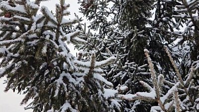 В Челябинской области немного похолодает