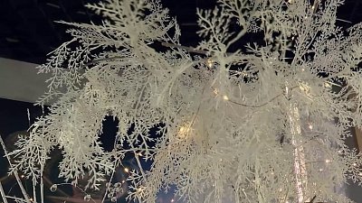 Челябинцам расскажут историю празднования Нового года