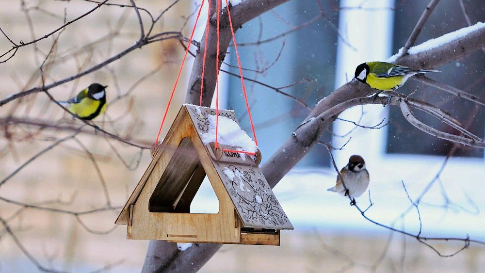 На Южном Урале вот‑вот начнется зимняя оттепель
