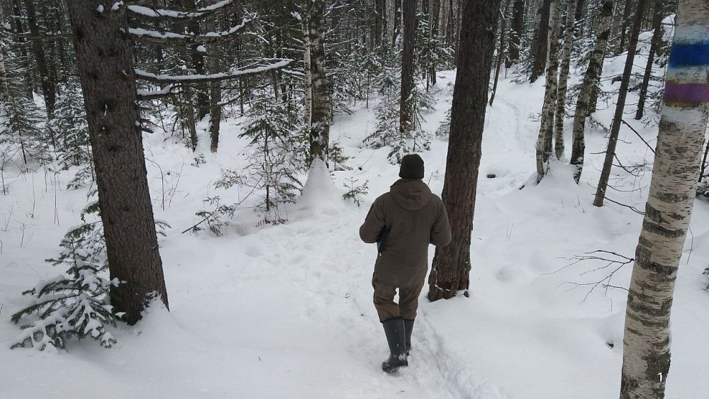 Нацпарк «Зигальга» в Челябинской области посетило более 12 тысяч туристов