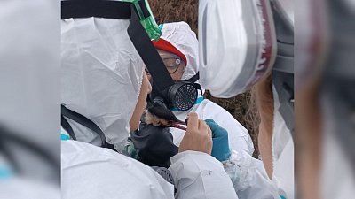 Писательница из Челябинска помогает спасать птиц от мазута в Краснодарском крае