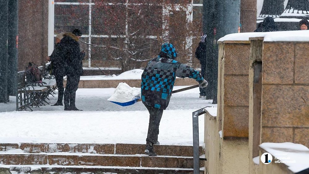 Тепло до +2°С, мокрый снег и метели ожидают в Челябинской области 10 января