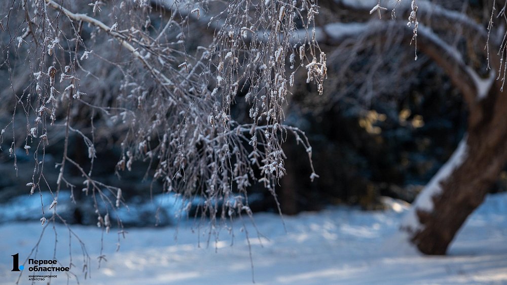 Аномальное тепло и порывистый ветер сохранятся в Челябинской области 10 января