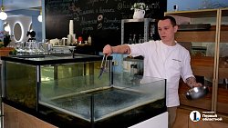 Повар из Миасса выступил в финале «Молодых ножей» с Константином Ивлевым