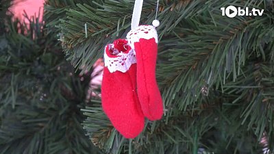 Елка из Нязепетровска представляет Челябинскую область во всероссийском голосовании