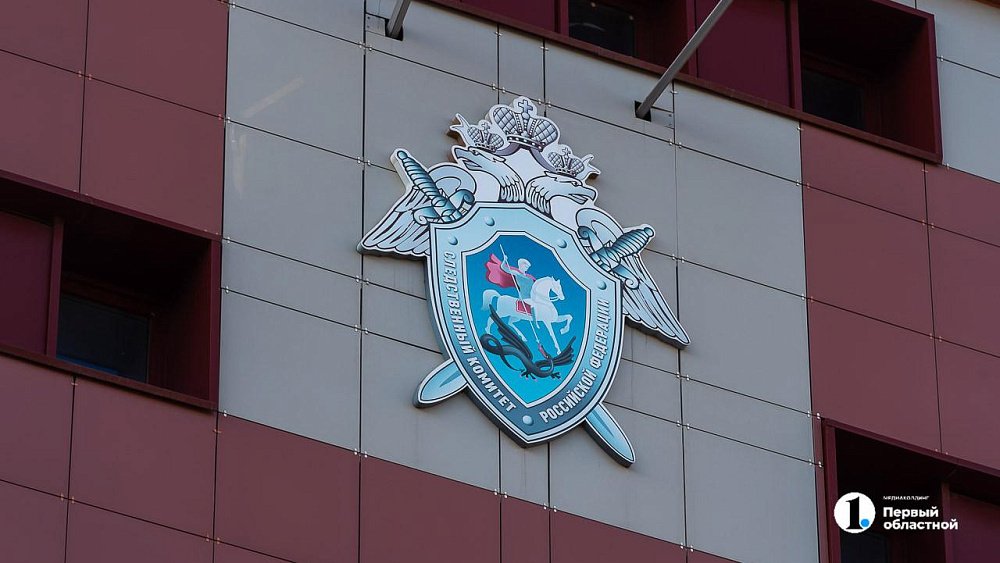 В Челябинске пьяный мужчина ранил ножом сожительницу и ее сына