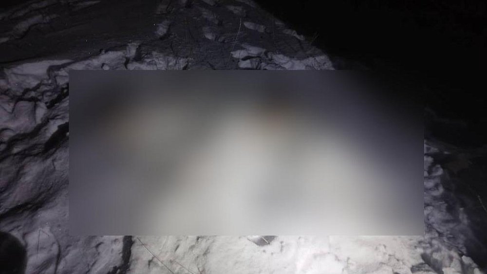 В Челябинской области задержали браконьеров, подозреваемых в отстреле двух косуль