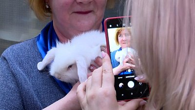 В Челябинске пушистый актер Камерного театра нашел новую семью