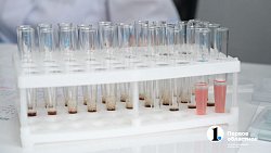 В Чебаркульском районе завершена программа строительства и капремонта ФАПов