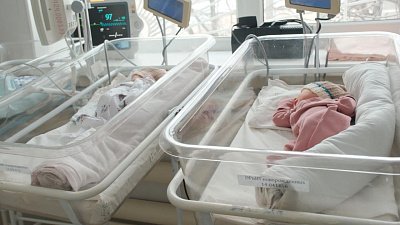 В канун Нового года в Челябинске родилась королевская двойня