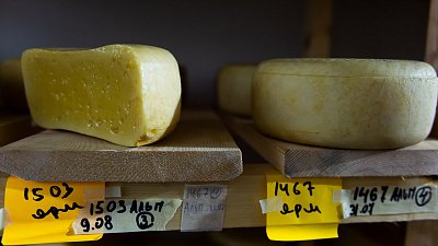 В Челябинской области создадут фермерские островки