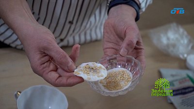 Препараты для стимуляции семян