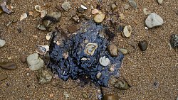 Фотограф из Челябинска снимает почерневшие пляжи Краснодарского края