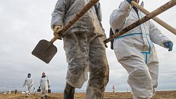 Фотограф из Челябинска снимает почерневшие пляжи Краснодарского края