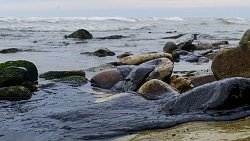 Фотограф из Челябинска снимает почерневшие пляжи Краснодарского края