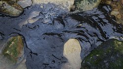 Фотограф из Челябинска снимает почерневшие пляжи Краснодарского края