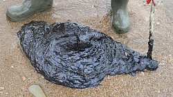 Фотограф из Челябинска снимает почерневшие пляжи Краснодарского края