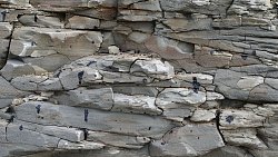 Фотограф из Челябинска снимает почерневшие пляжи Краснодарского края