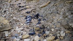 Фотограф из Челябинска снимает почерневшие пляжи Краснодарского края