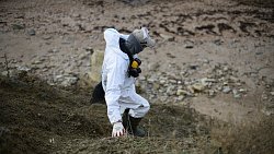 Фотограф из Челябинска снимает почерневшие пляжи Краснодарского края