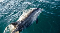 Фотограф из Челябинска снимает почерневшие пляжи Краснодарского края