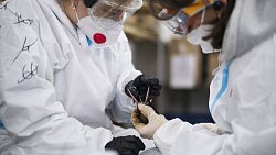 Фотограф из Челябинска снимает почерневшие пляжи Краснодарского края