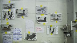 Фотограф из Челябинска снимает почерневшие пляжи Краснодарского края