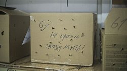 Фотограф из Челябинска снимает почерневшие пляжи Краснодарского края