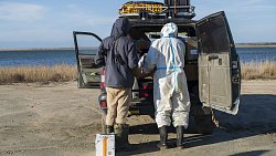 Фотограф из Челябинска снимает почерневшие пляжи Краснодарского края