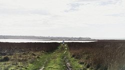 Фотограф из Челябинска снимает почерневшие пляжи Краснодарского края