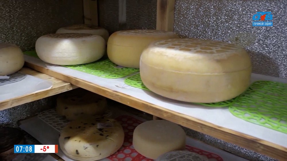 День любителей сыра в сюжете «Сыровар из Челябинска»