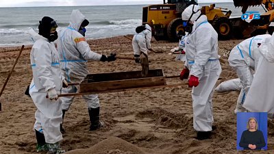 Чистомэн присоединился к волонтерам в Анапе 