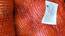 В Челябинскую область пытались ввезти 66 тонн лука, замаскированного под арахис, картофель и виноград