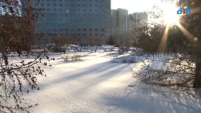 В регионе из-за потепления на деревьях набухли почки