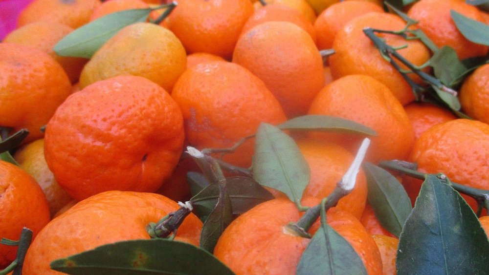 Более 40 тонн мандаринов не пустили в Россию из Казахстана