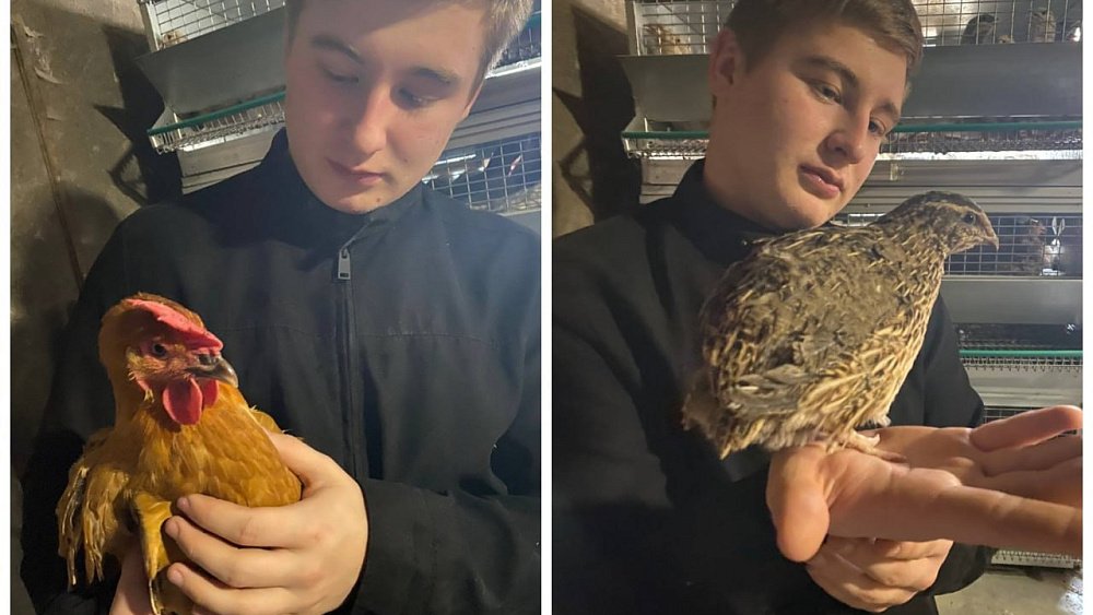 Десятикласснику из Кыштыма восстановят сгоревший курятник и помогут с поступлением