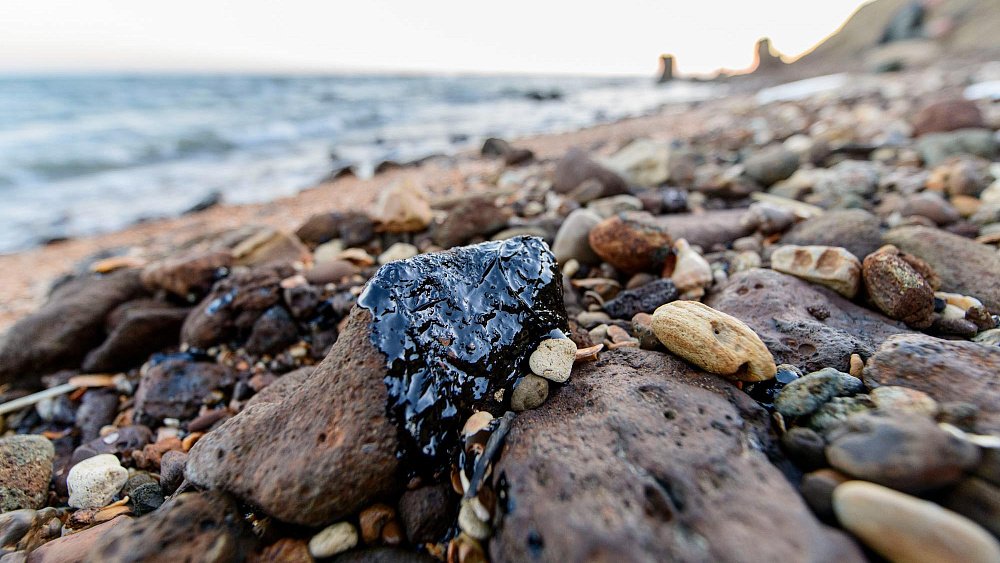 Обязательное экологическое страхование предлагает ввести глава РЭО